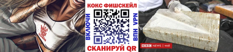Купить закладки  Новотроицк  Cocaine 98% 