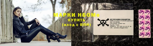 шишки Горняк