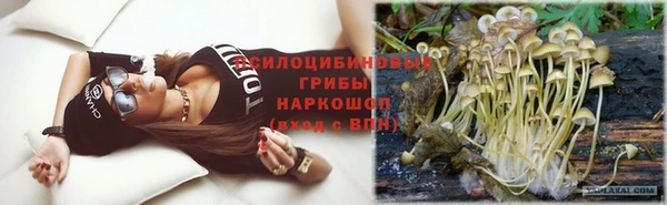 шишки Горняк