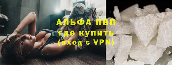 шишки Горняк