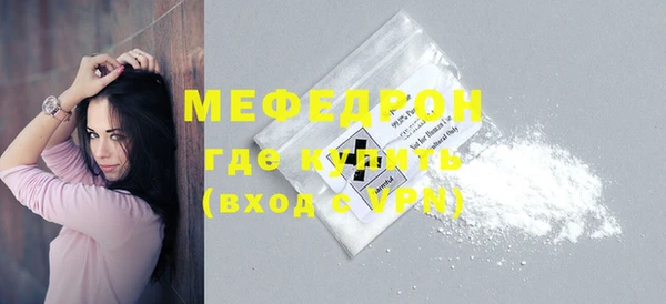шишки Горняк