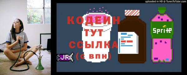 соль ск Горнозаводск