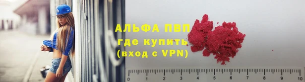 шишки Горняк
