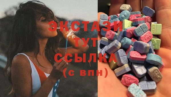 шишки Горняк