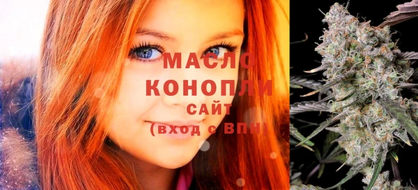 шишки Горняк
