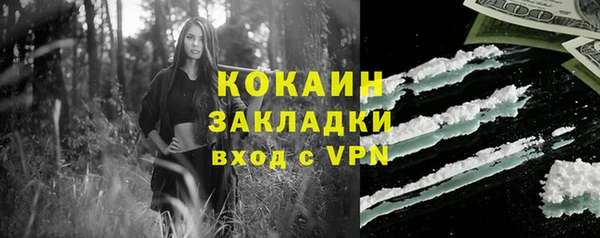 шишки Горняк