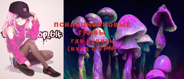 jwh Гусев