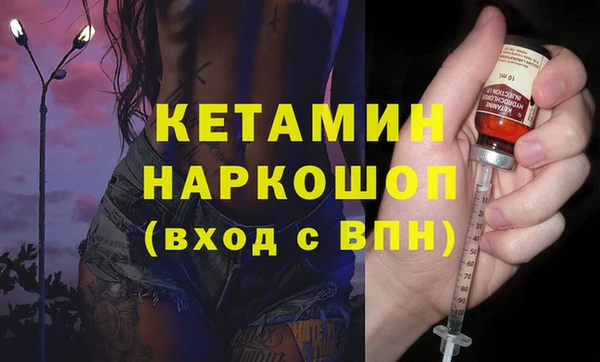 шишки Горняк