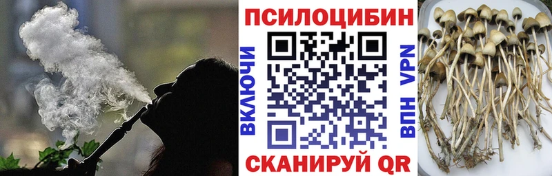 Купить закладки  Новотроицк  Псилоцибиновые грибы прущие грибы 